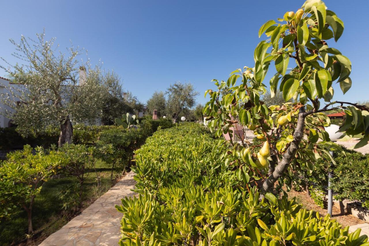 Residence Villantica Vieste Bagian luar foto