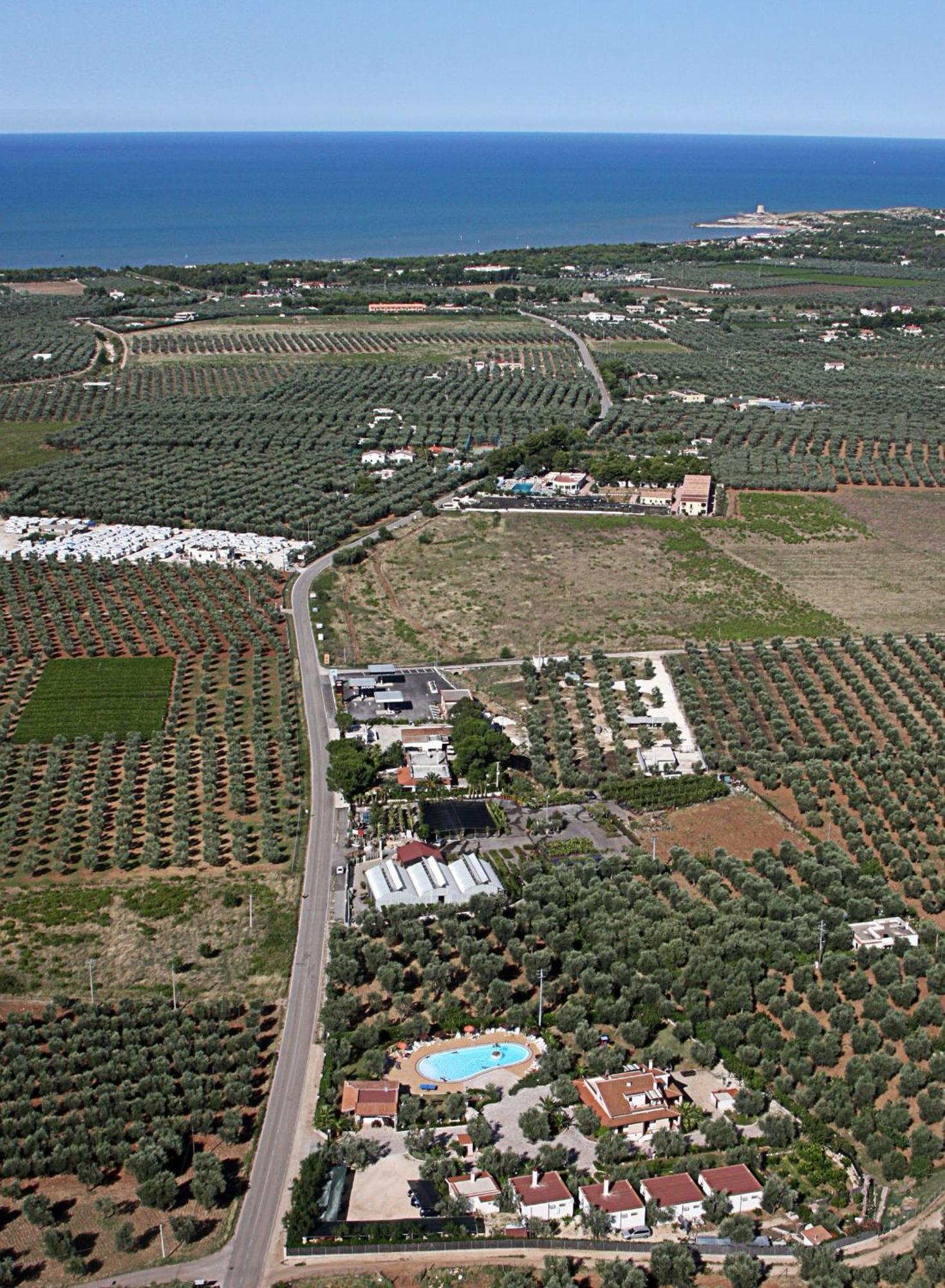 Residence Villantica Vieste Bagian luar foto